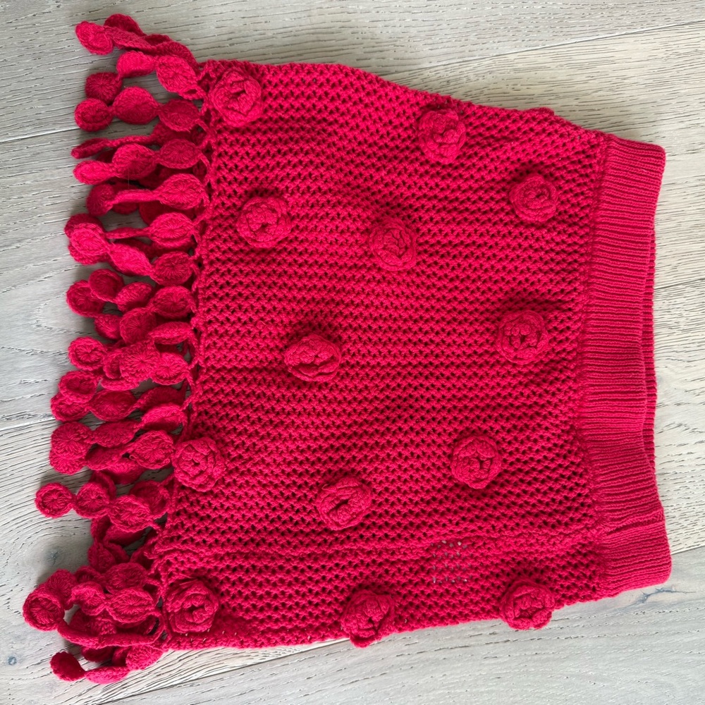 Lovers + Friends Domatilla Red Crochet mini Skirt - Picture 7 of 7